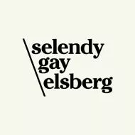 Selendy Gay logo